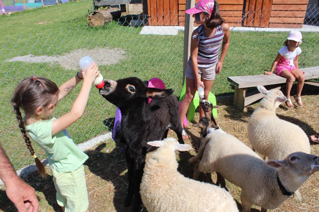 La Petite Ferme De Pouillon - Parc Animalier - Aire De Loisirs Bed & Breakfast Luaran gambar
